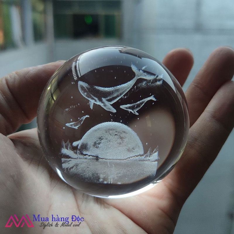 Bộ Quà Tặng Quả Cầu Pha Lê 3D larser LED  cá voi cùng mặt trời mọc CV01