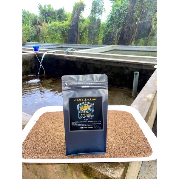 Cám Cá Vàng Củ Chi Goldfish