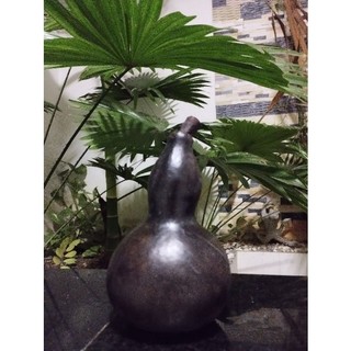 Bầu hồ lô khô ( bầu khô)