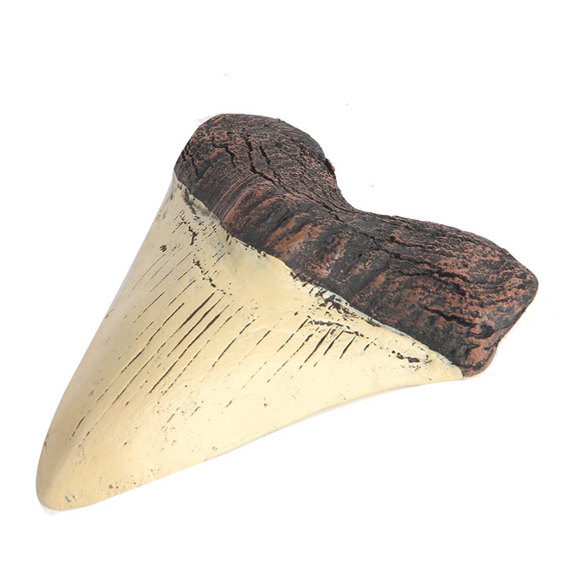 Răng Cá Mập Megalodon Bằng Nhựa Resin