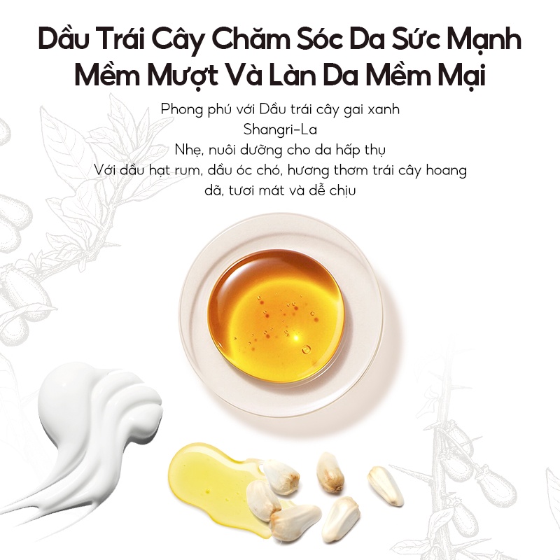 INOHERB Lotion Dưỡng Ẩm Toàn Thân  Dhatto