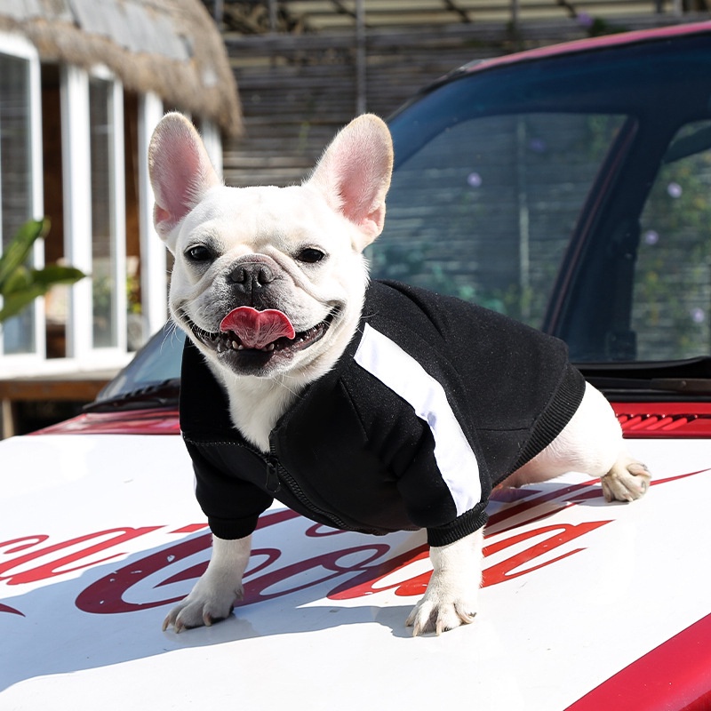 Áo Sweater Có Khóa Kéo Thời Trang 2022 Dành Cho Thú Cưng #Ốp Điện Thoại Thời Trang Cho A060 A060