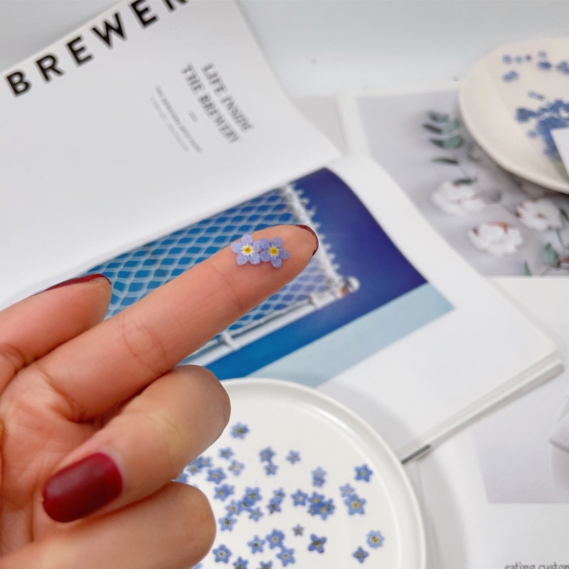 Bộ 20 Bông Hoa Khô Dùng Làm Trang Sức Thủ Công