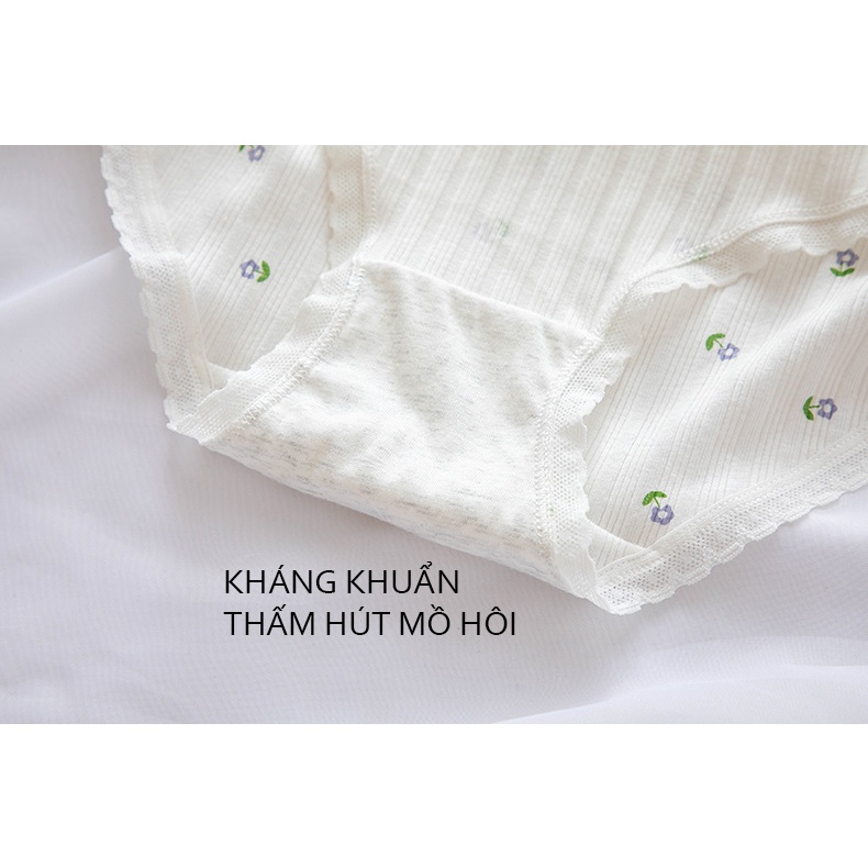 Quần lót nữ cotton viền ren mềm mại 341