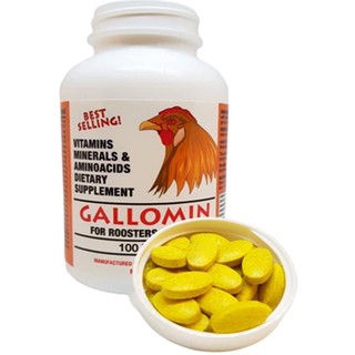 thuôc nuôi gà đá gallomin