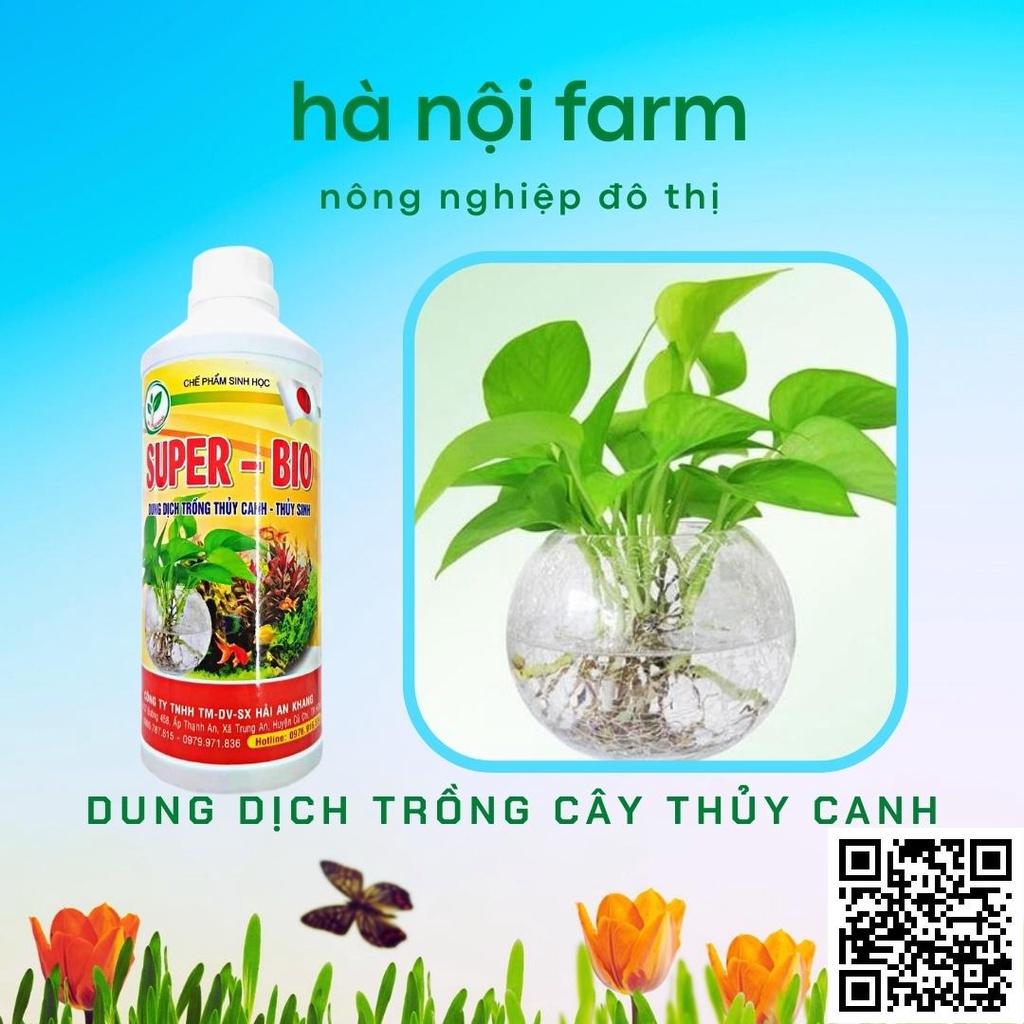 Dung dịch trồng thủy canh, thủy sinh Super - Bio 100ml -1lít