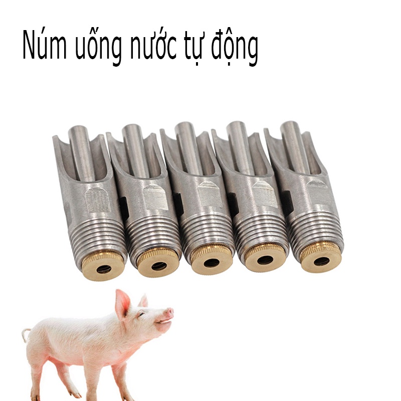 Núm(van) uống nước tự động cho heo lợn INXO Vòi uống nước tự động heo
