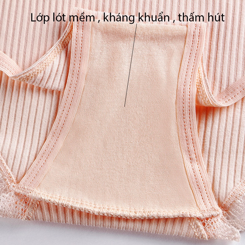 Quần lót nữ cotton viền ren , quần chíp nữ sexy gân tăm kháng khuẩn BRALUNE mã 507