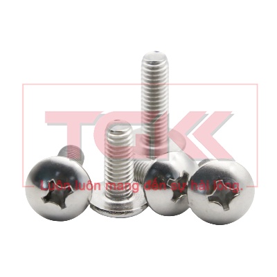 Bulong chỏm cầu to inox 201 M5