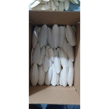 Mai mực khô 1kg , 0,5kg  , size 10cm - 34cm dành cho chim