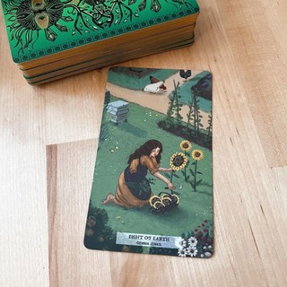 Bài 78 Tarot Ecological