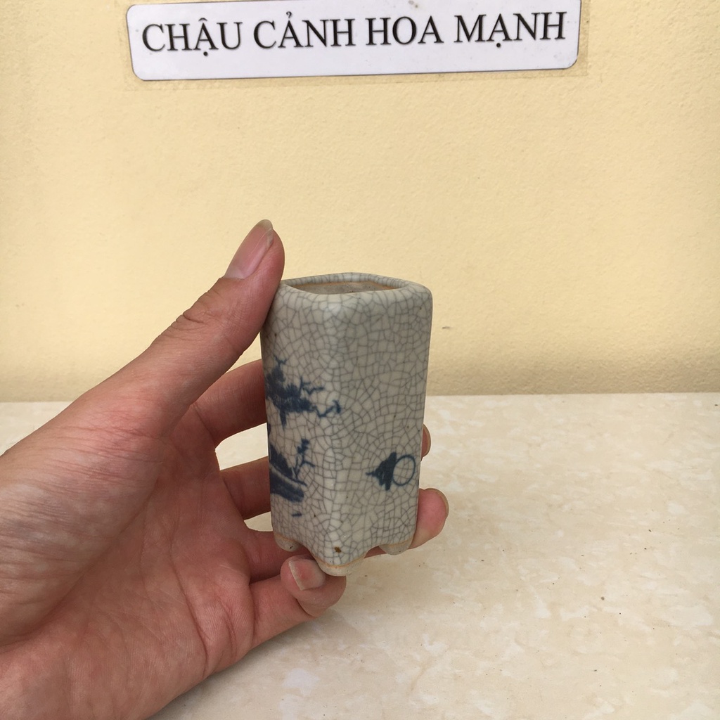 Chậu Vuông đứng bonsai sen đá mini men Rạn gốm Bát tràng 1 size SP468
