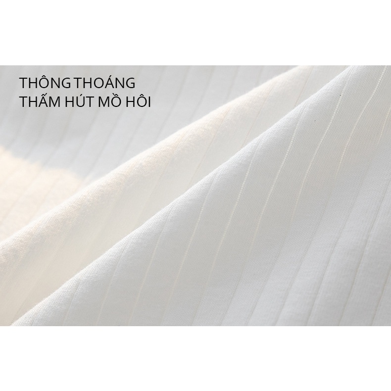 Quần lót nữ cotton combo 5 màu trắng hồng siêu thoáng khí 305