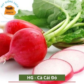 Hạt giống củ cải đỏ chơi tết kèm phân