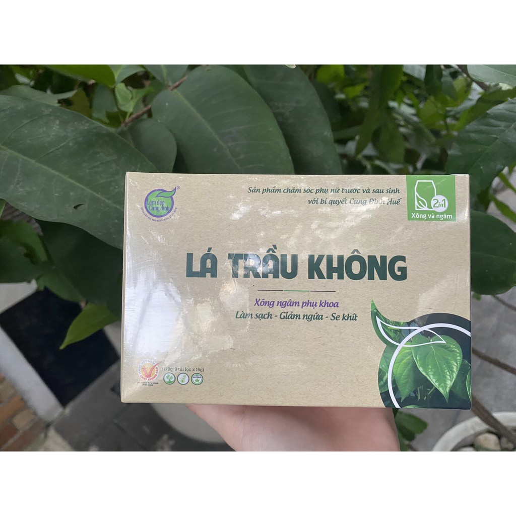 Lá trầu không bảo nhiên 100% tự nhiên, không chất bảo quản.