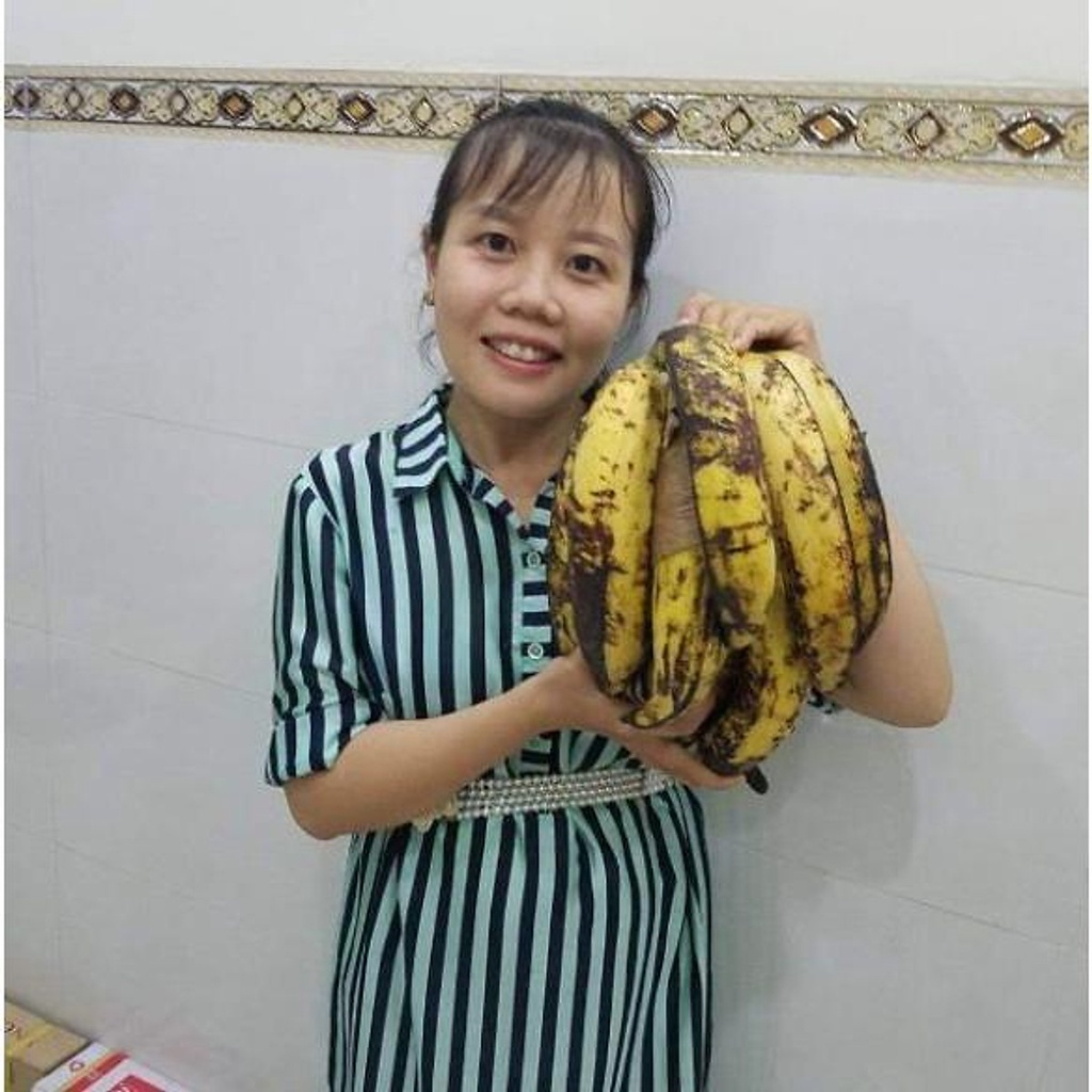 24.09 Chuối Táo Quạ... 3 tháng cây cho trái