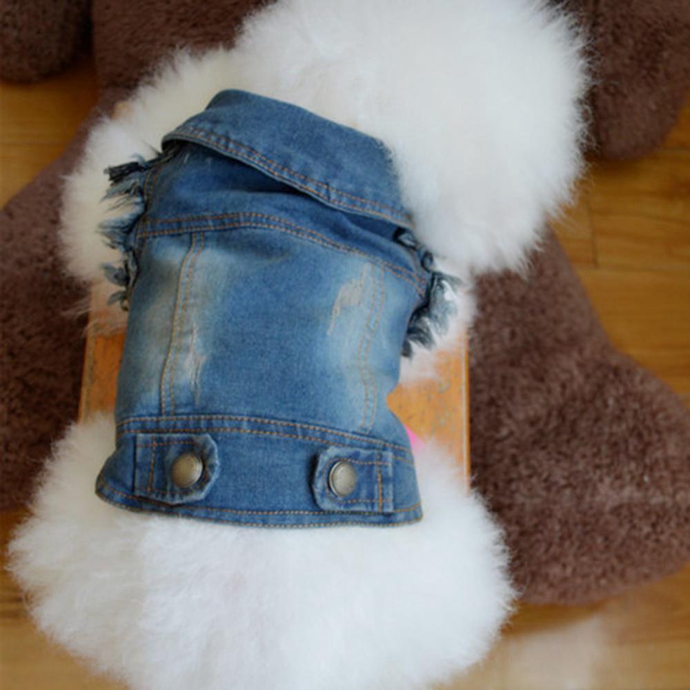 Áo Khoác Denim Thời Trang Mùa Thu Cho Thú Cưng