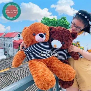 Gấu bông tedy siêu to khổng lồ đủ size từ bé đến to