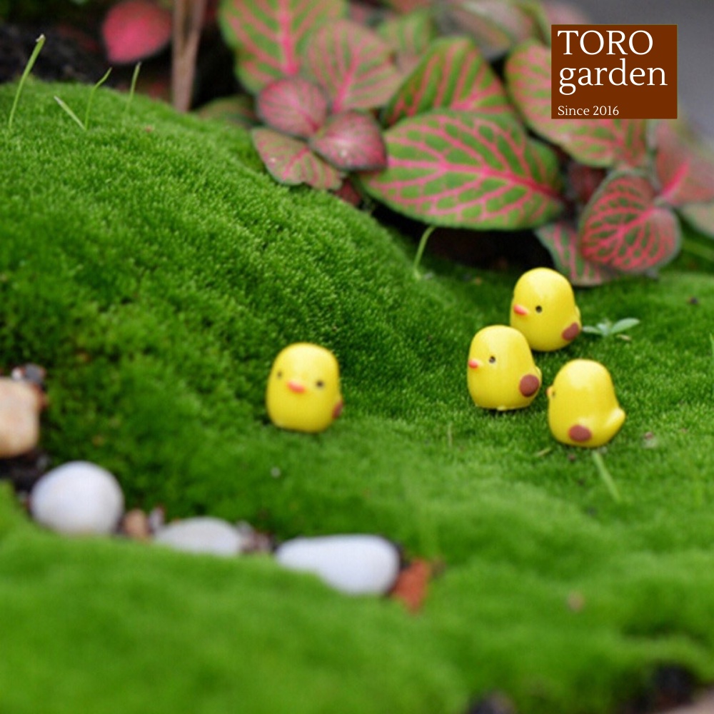 Phụ kiện 5 chú gà con Toro garden siêu cute
