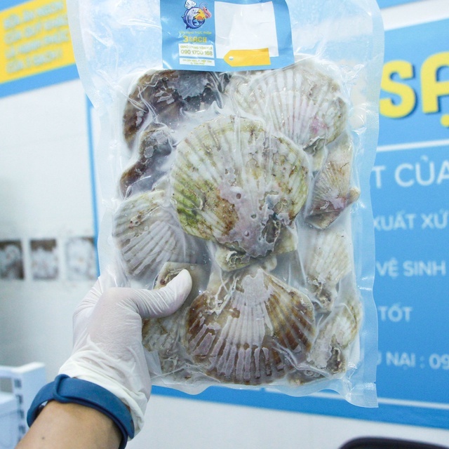 1KG Sò Điệp Nhật Loại To  Thực Phẩm 3 Sạch