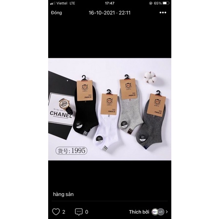 combo 10 đôi tất cotton