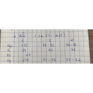 đầm midi nữ đuôi cá