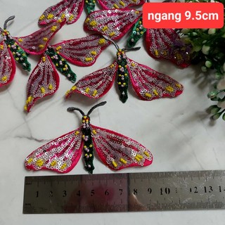 Hình may và hình ủi  trang trí.(2 hình)