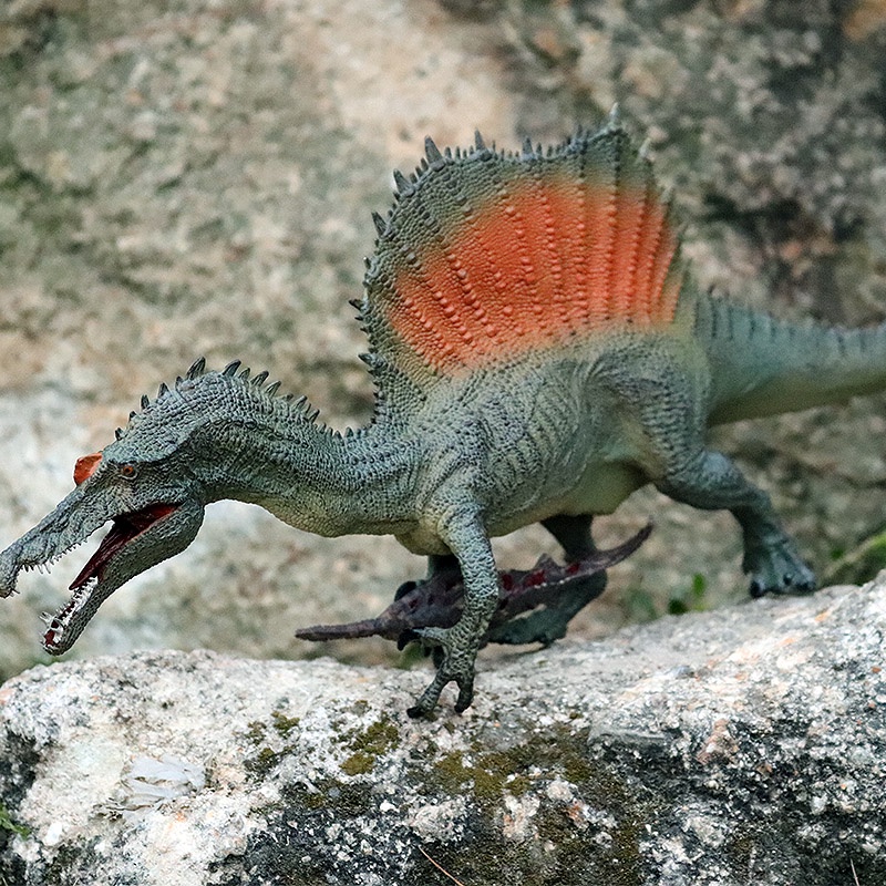 Mô Hình Khủng Long Tyrannosaurus Mosasaur Raptor Trang Trí Chất Lượng Cao