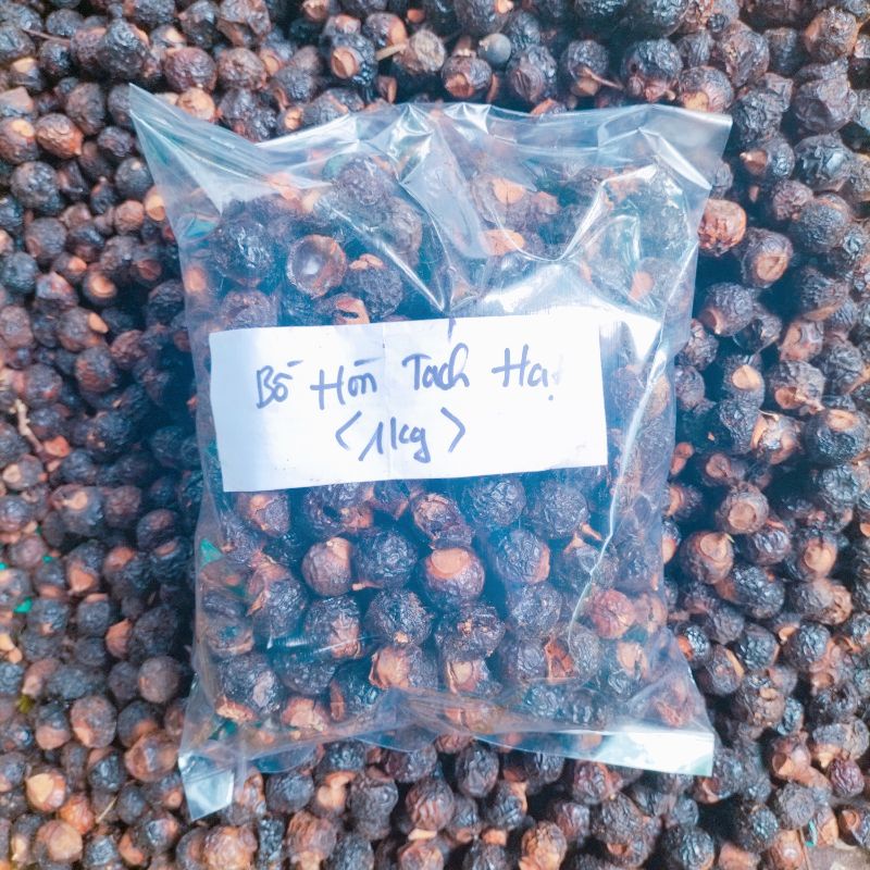 Bồ hòn tách hạt giá rẻ