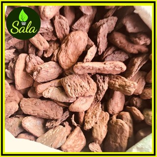 [Size 3*4cm] Vỏ thông các size lớn dành cho kiểng lá, gói 1kg  CÂY GIỐNG 3 MIỀN