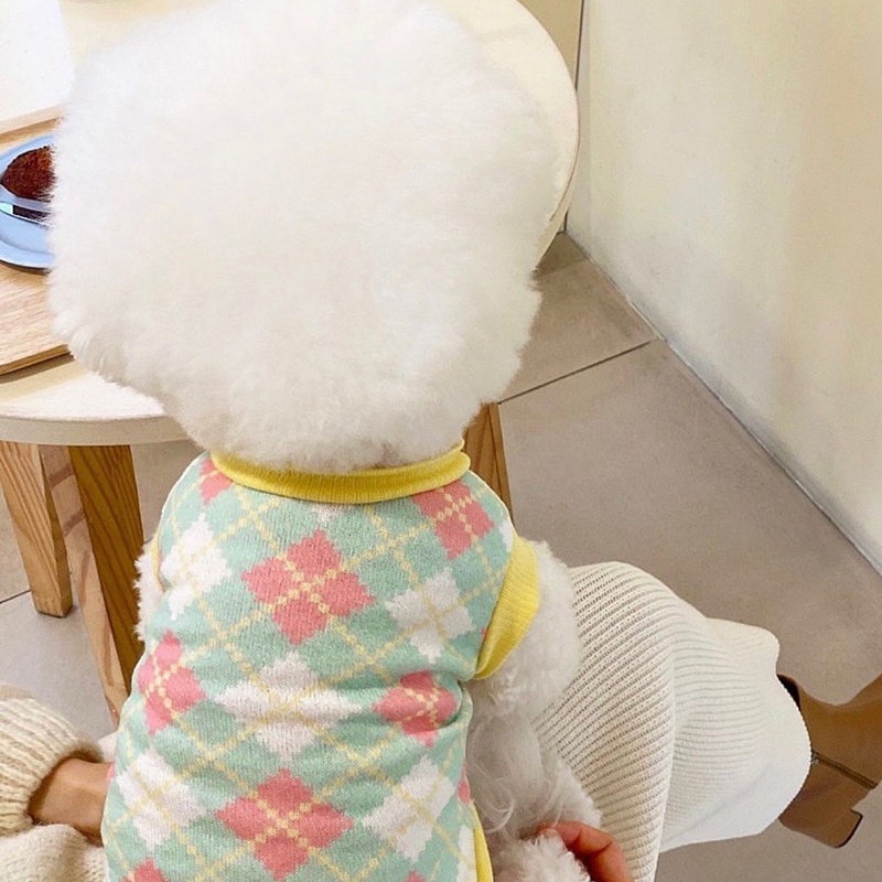 Áo len họa tiết quả trám màu tươi dành cho thú cưng