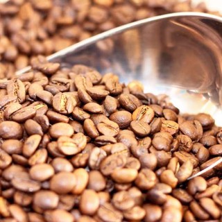 Cà phê hạt/bột MT - Lon 250gram  Cà Phê Bột/Hạt (Robusta)-loại chưa rang