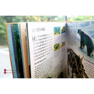 Sách - Atlas thế giới khủng long
