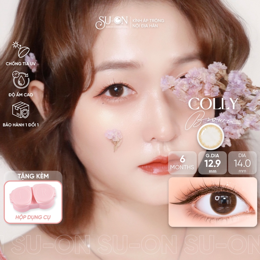Lens cận nâu/xám tự nhiên COLLY BROWN/GRAY, kính áp tròng Hàn Quốc chính hãng 14mm, siêu êm và mềm 6 tháng