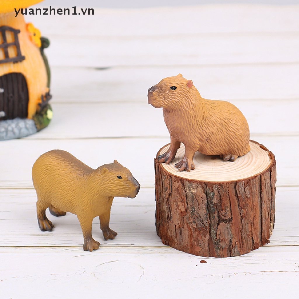 Mô Hình Đồ Chơi Sưu Tầm Capybara Hoang Dã Dễ Thương
