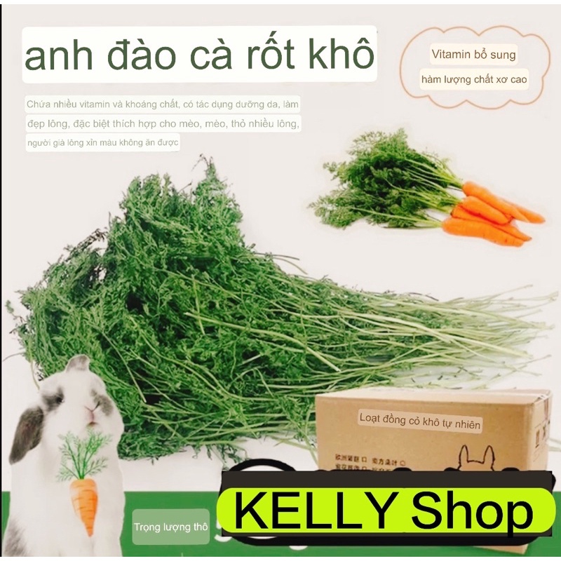 Lá cà rốt🥕