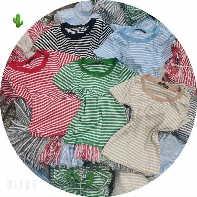 Áo kiểu croptop cổ bẻ sọc ngang cực hot , chất thun coton mềm mịn