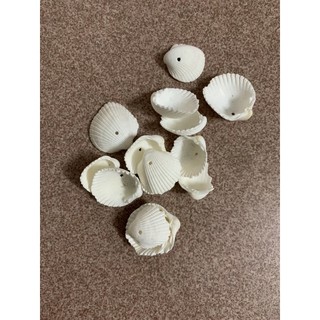100 gr vỏ sò huyết nhỏ