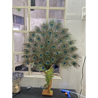 Bình Chim Công Composite Cắm Lông Công