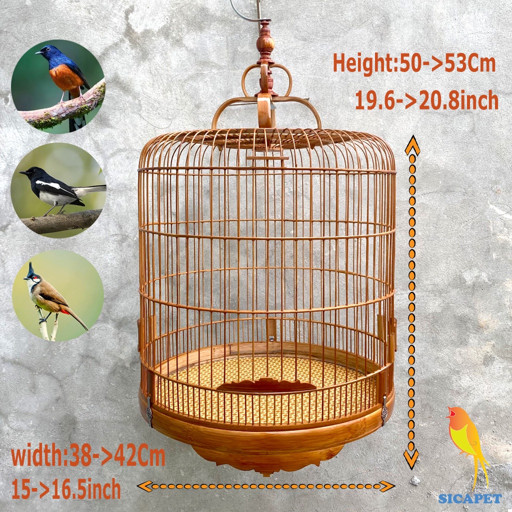 Lồng chim ChíCh Chòe - chim Chòe Than - chim Chào Mào - chim Chòe Lửa, Lồng Chòe Than - Chào Mào đẹp SICAPET