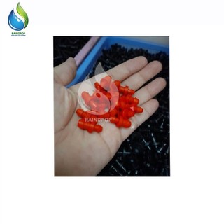10 Nút bịt cuối ống 6mm và 8mm cho hệ thống phun sương, tưới nhỏ giọt