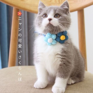Vòng cổ đan len dễ thương cho thú cưng