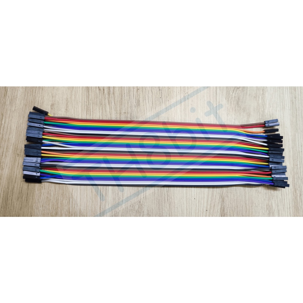 Dây bus 40P 20CM (40 sợi)