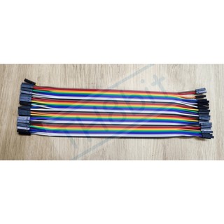 Dây bus 40p 20cm