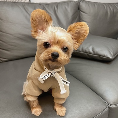 Áo mũ trùm trơn dành cho thú cưng