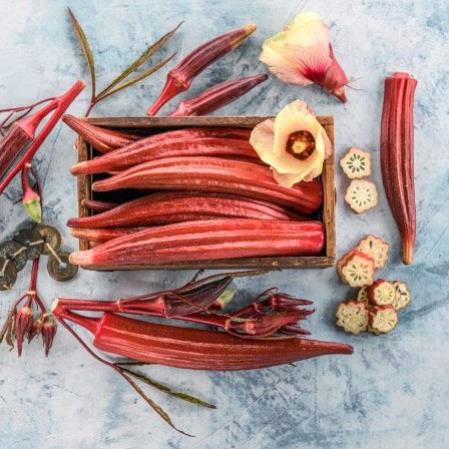 hạt giống đậu bắp đỏ 15 hạt