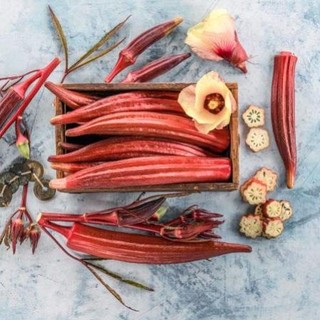 hạt giống đậu bắp đỏ 15 hạt