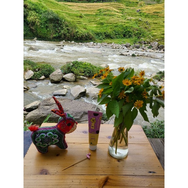 KEM ĐÁNH RĂNG EMOI