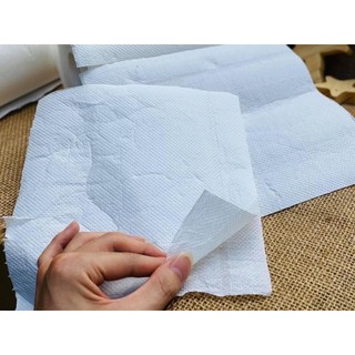 Set 2 cuộn khăn giấy bếp đa năng Nhật Bản