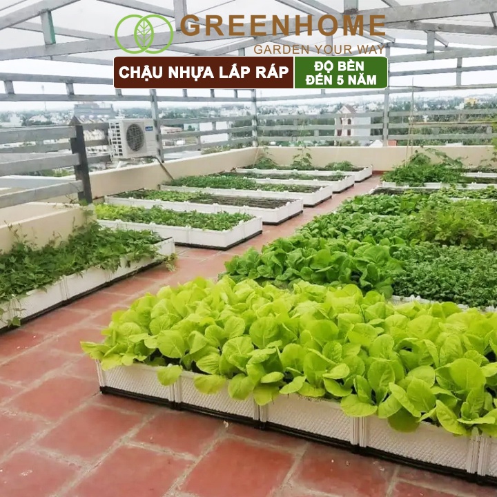 Chậu nhựa lắp ráp Greenhome, nhiều kích thước lựa chọn trồng hoa hồng, cây leo, rau, củ, quả, độ bền 5 năm